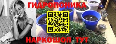 гидра Малгобек
