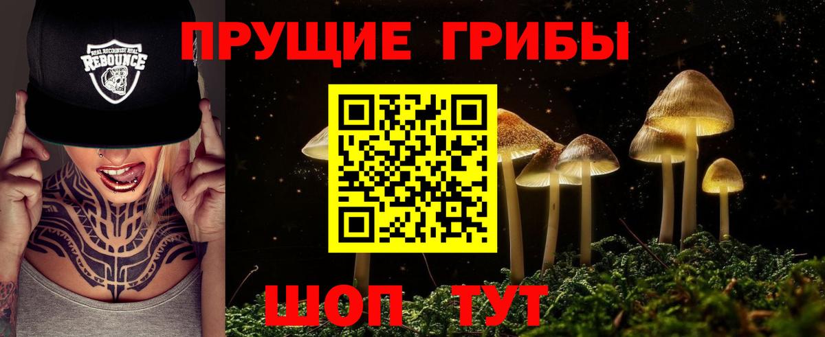 Юрга  Псилоцибиновые грибы мухоморы  Вход с VPN  Псилоцибиновые грибы мухоморы 