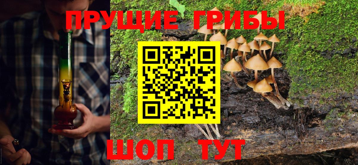 Псилоцибиновые грибы Cubensis Юрга